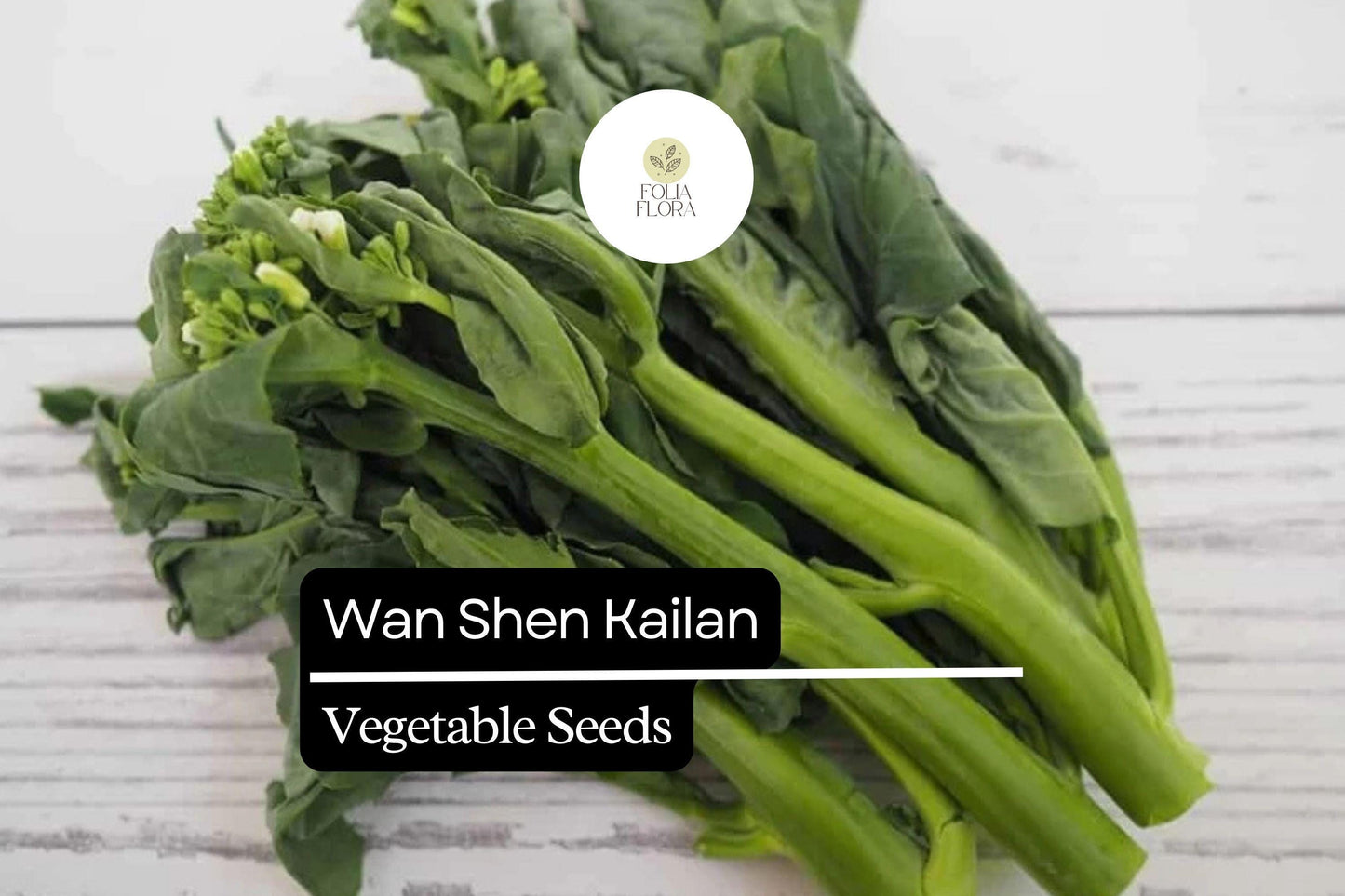 500mg Wan Shen Kailan Seeds Brassica oleracea | Chinese Broccoli Variety | Tender Stalks, Sweet Leaves & Edible Flower Buds