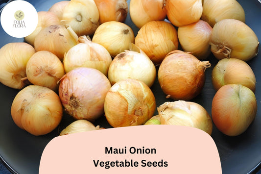 500+ Maui Onion Seeds | Sweet Onion Variety | Garden Planting | Mild Flavor | Great for Salads, Grilling & Cooking