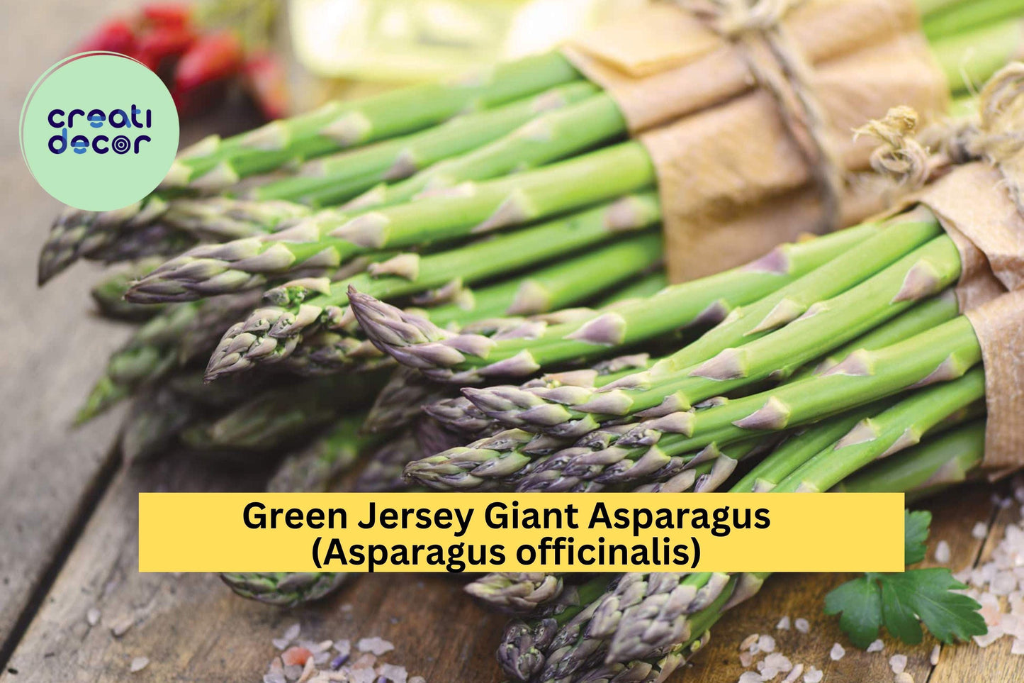 10 Green Jersey Giant Asparagus Crowns – Asparagus officinalis – 2-Year Bare Root Plants, Heirloom Variety for Garden Growing