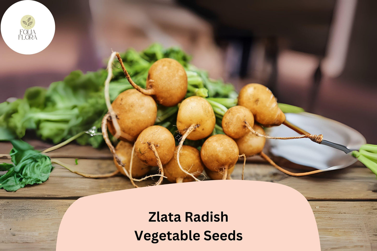 500+ Zlata Radish Seeds – Heirloom Garden Radish, Crisp Edible Roots