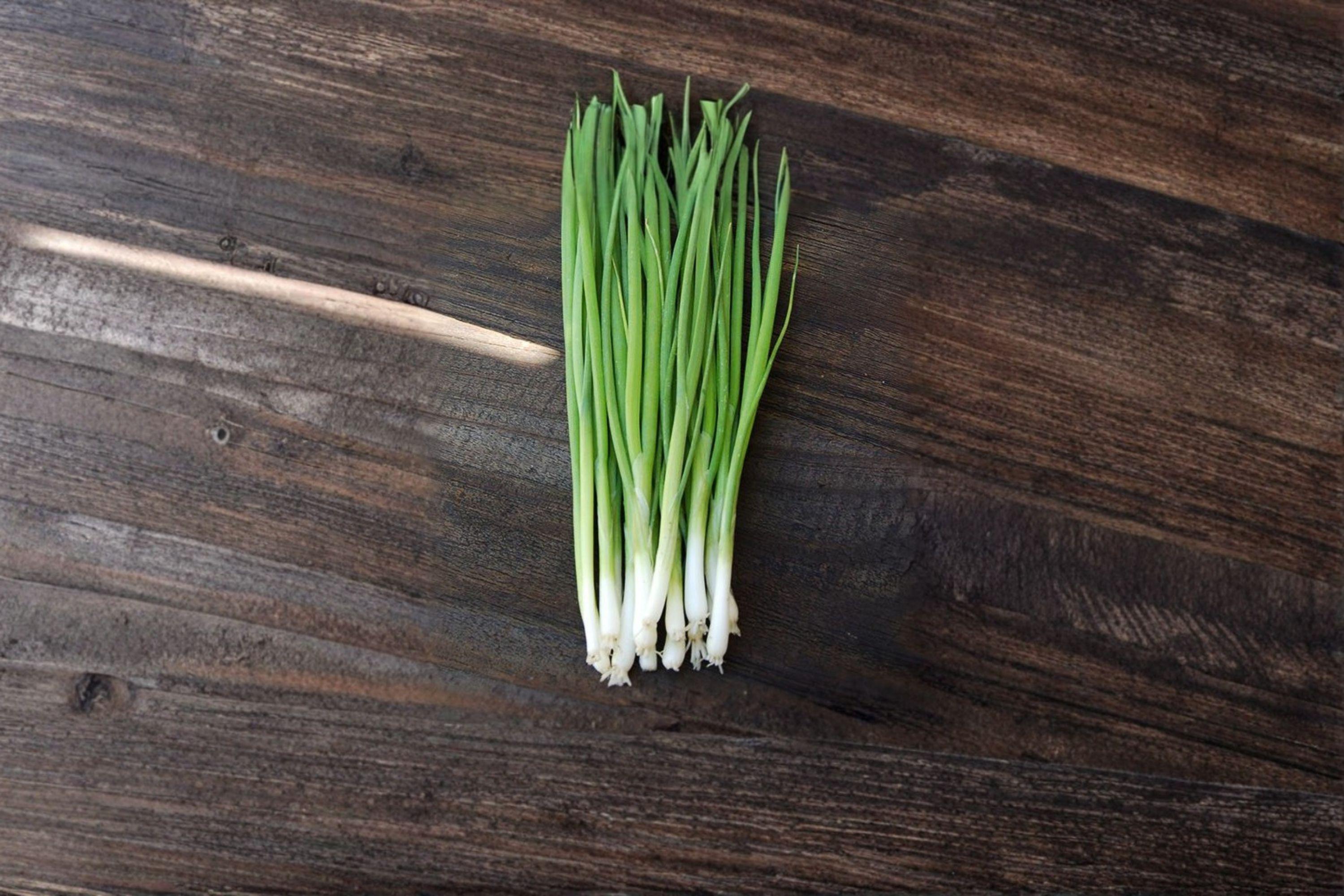 Evergreen Bunching Onion – Allium fistulosum 50 Seeds | Non-Bulbing Green Onion | Cold Hardy | Easy Home Garden Vegetable