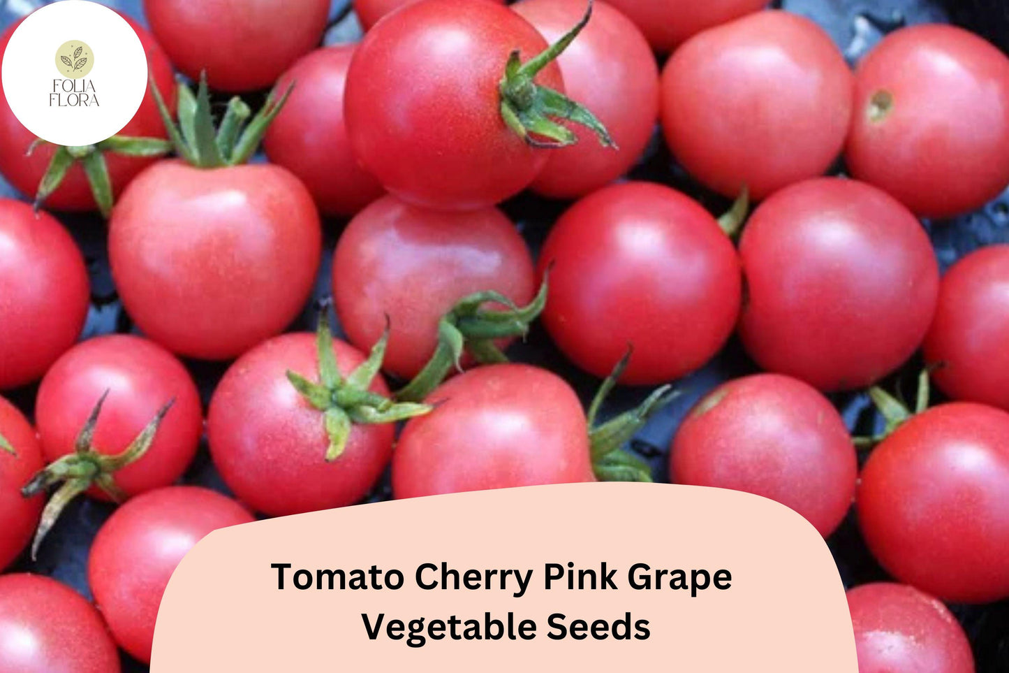200 Tomato Cherry Pink Grape Seeds | Sweet Grape Tomatoes for Gardens & Pots | Heirloom Variety | Non-GMO | Easy to Grow