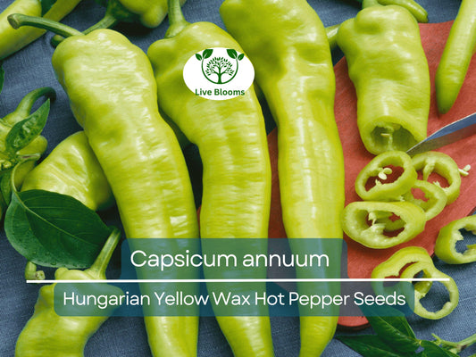 30 Seeds Hungarian Yellow Wax Hot Pepper – Capsicum annuum | Heirloom Pepper for Planting, Gardening & Spicy Harvests