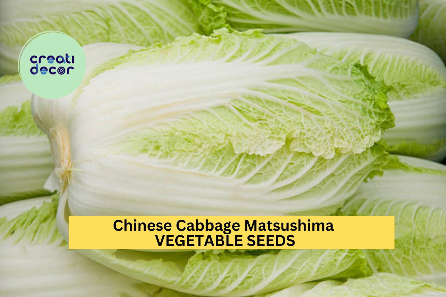 3pcs x 500mg Matsushima Chinese Cabbage Seeds – Brassica rapa Pekinensis for Garden Beds, Containers, or Raised Rows Seeds for Planting