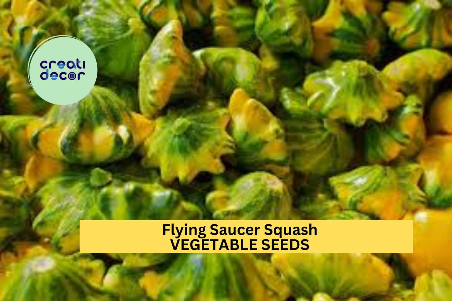 25+ Flying Saucer Squash Seeds – Unique Yellow-Striped Patty Pan for Garden Planting, Fun & Productive Summer Vegetable – USA