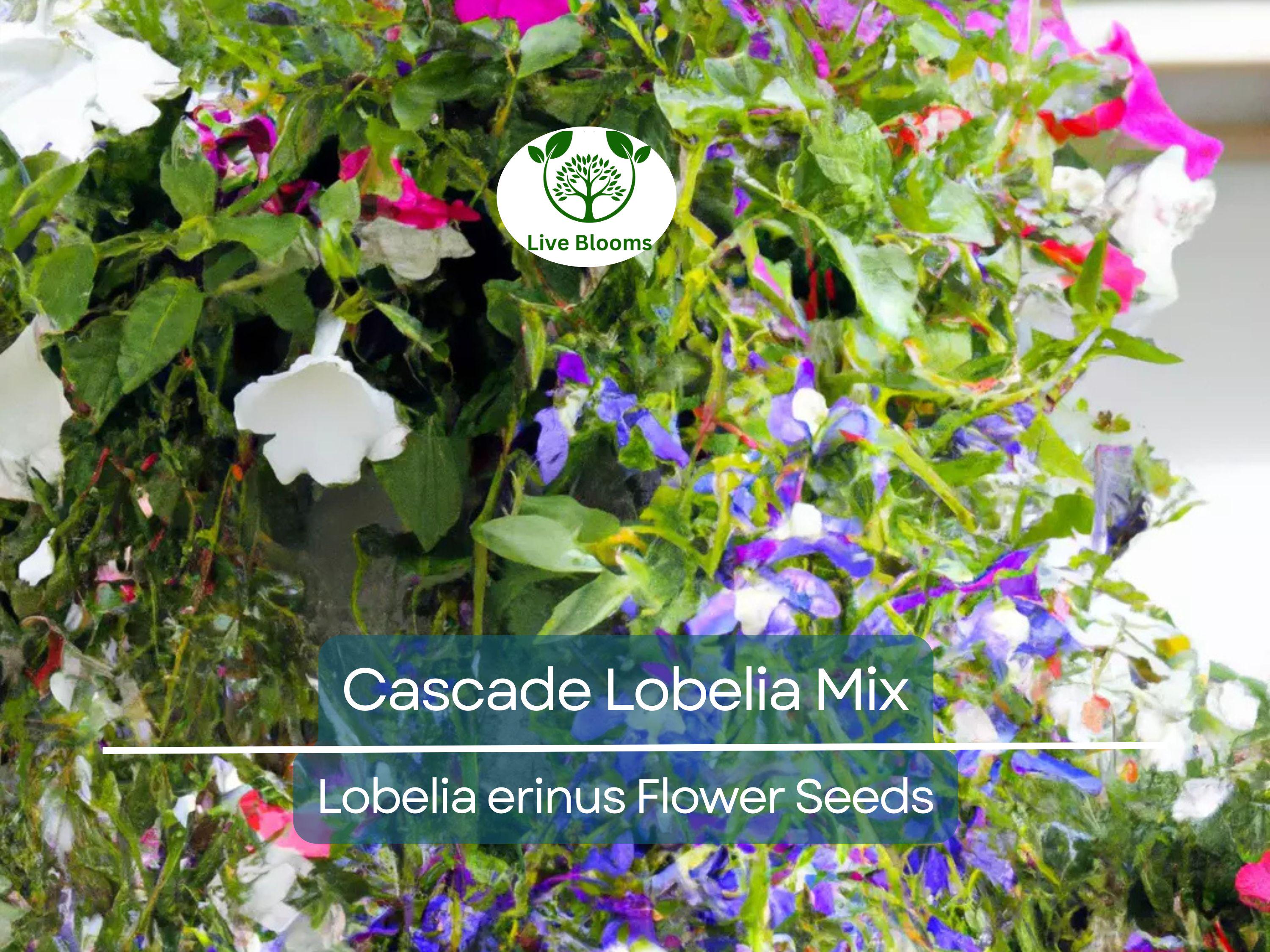 100 Cascade Lobelia Seed Mix, Colorful Trailing Perennial Flowers (Lobelia erinus), Hanging Baskets, Garden, Low-Maintenance, Summer Blooms