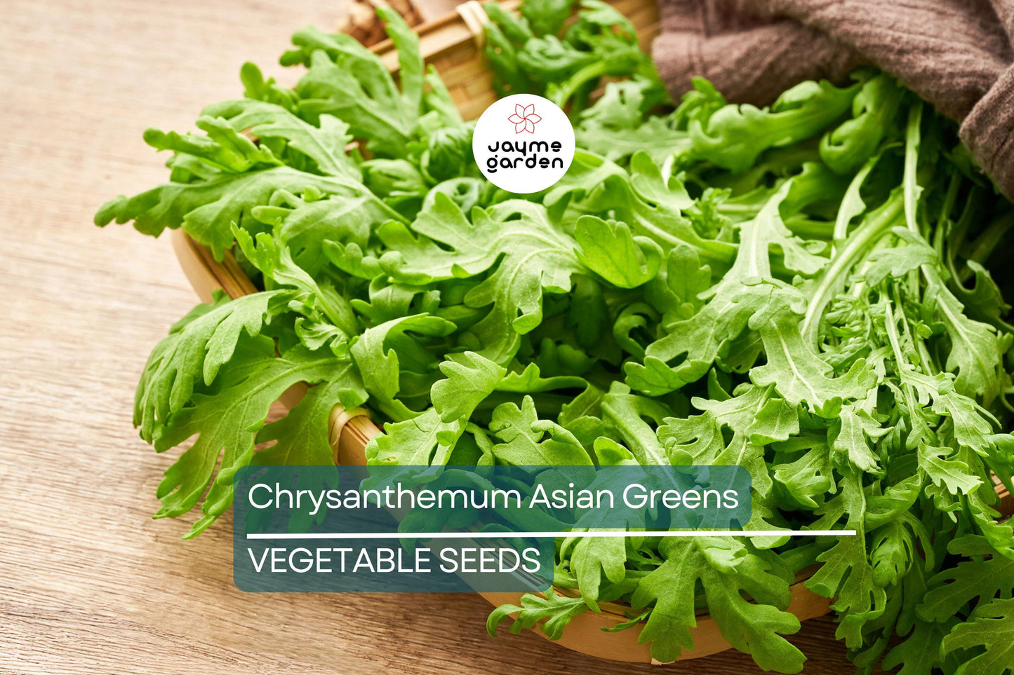 500 Shungiku Seeds - Edible Chrysanthemum - Asian Greens - Tongho - Choy Suy - Garland Chrysanthemum - Cool Season Salad Green