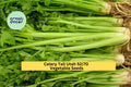 3pcs x 1g Tall Utah Celery Seeds – Crisp Heirloom Stalks for Garden Beds, Raised Rows, or Container Growing Seeds for Planting