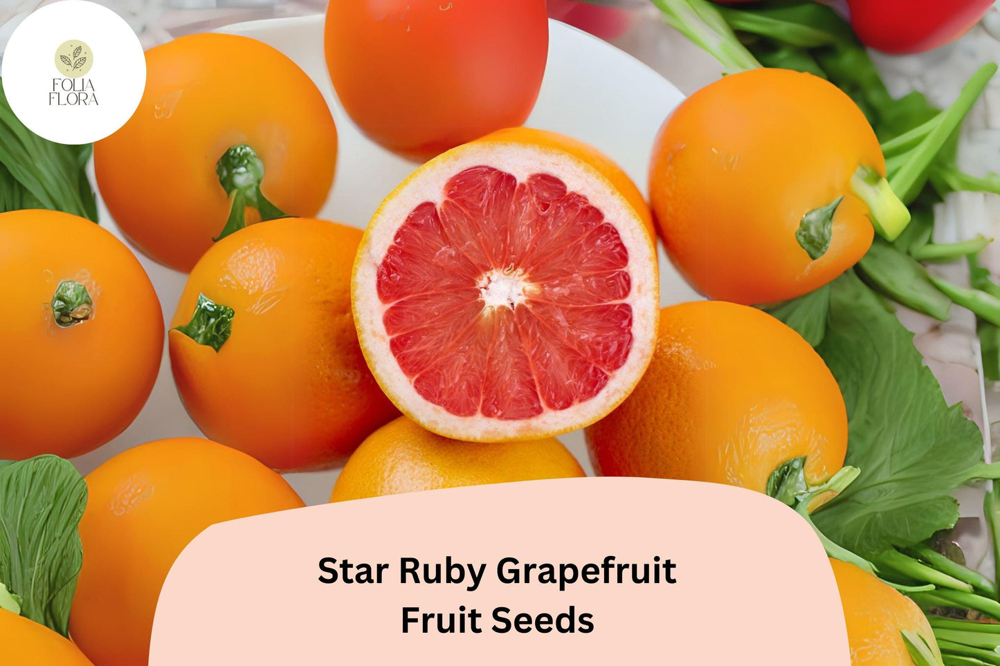 5+ Star Ruby Grapefruit Seeds – Juicy, Deep Red, Sweet-Tart Citrus Tree