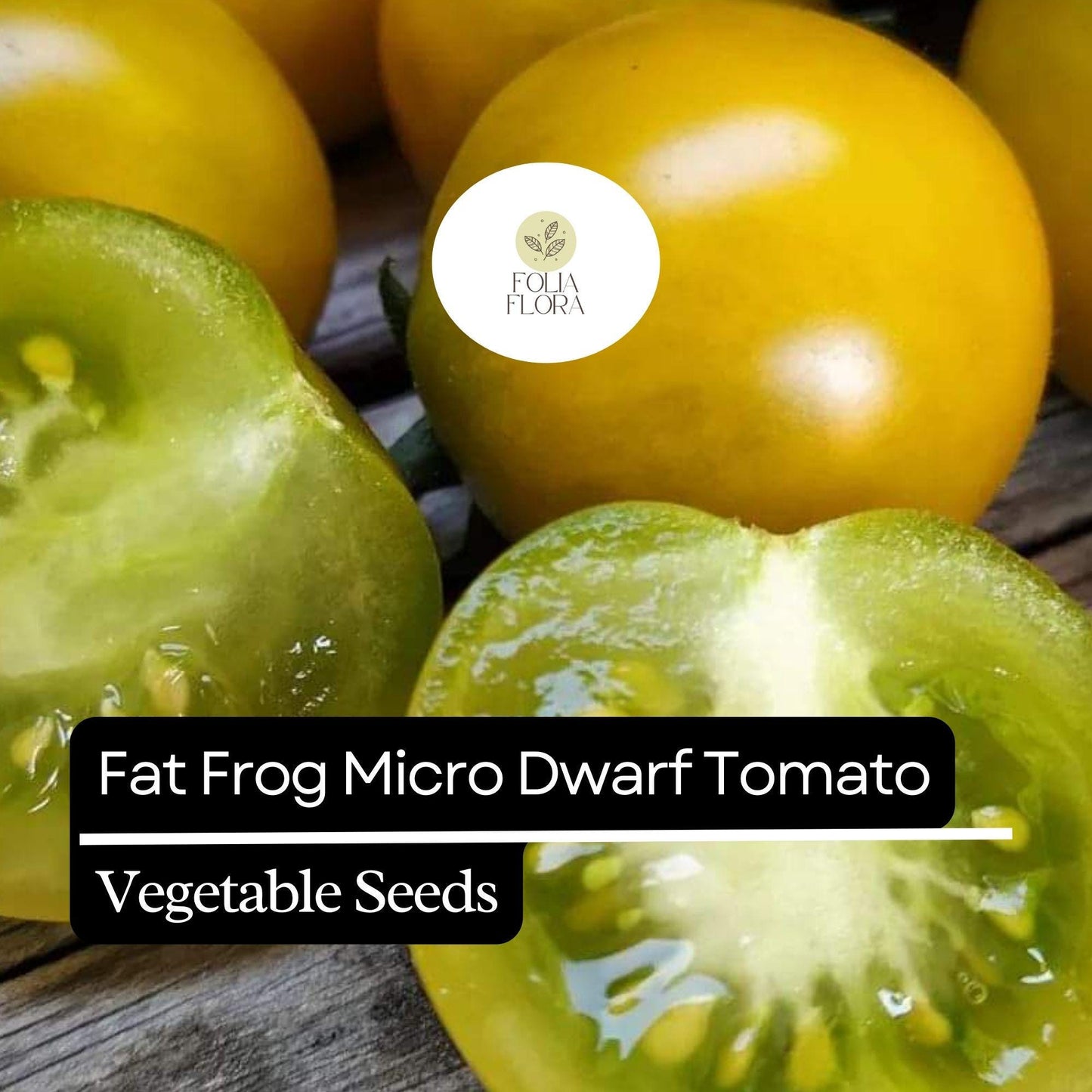 15 Fat Frog Micro Dwarf Tomato Seeds – Heirloom, Non-GMO, Compact & High-Yield