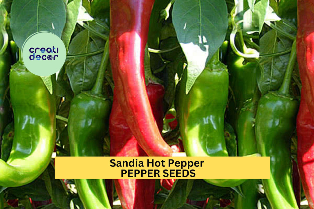 3pcs of 250mg Sandia Hot Pepper Seeds–Mild to Medium Heat Chili Roasting, Salsa,and New Mexico Style Home Garden Planting Seeds for Planting