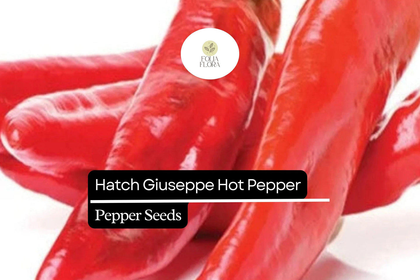 Hatch Giuzeppi Hot Pepper Seeds 250mg | Capsicum annuum | Non-GMO, Medium Heat, Prolific Variety, Perfect for Roasting, Salsas & Sauces