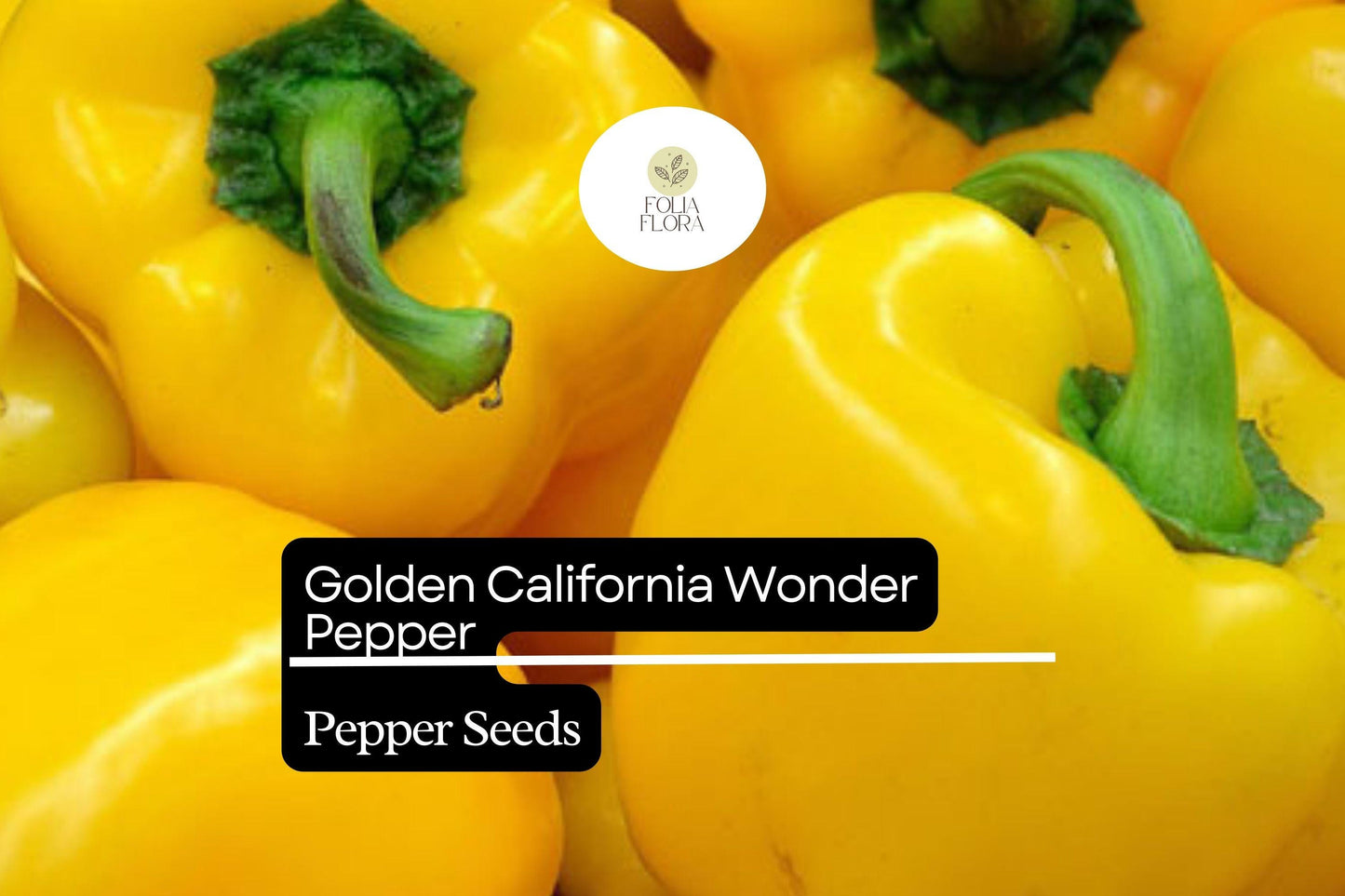 25 Golden California Wonder Pepper Seeds – Capsicum annuum – Heirloom, Sweet & Crisp, High-Yielding