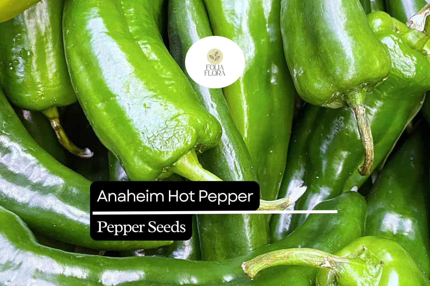 25 Anaheim Pepper Seeds – Capsicum annuum – Mild & Flavorful, High-Yielding, Great for Roasting
