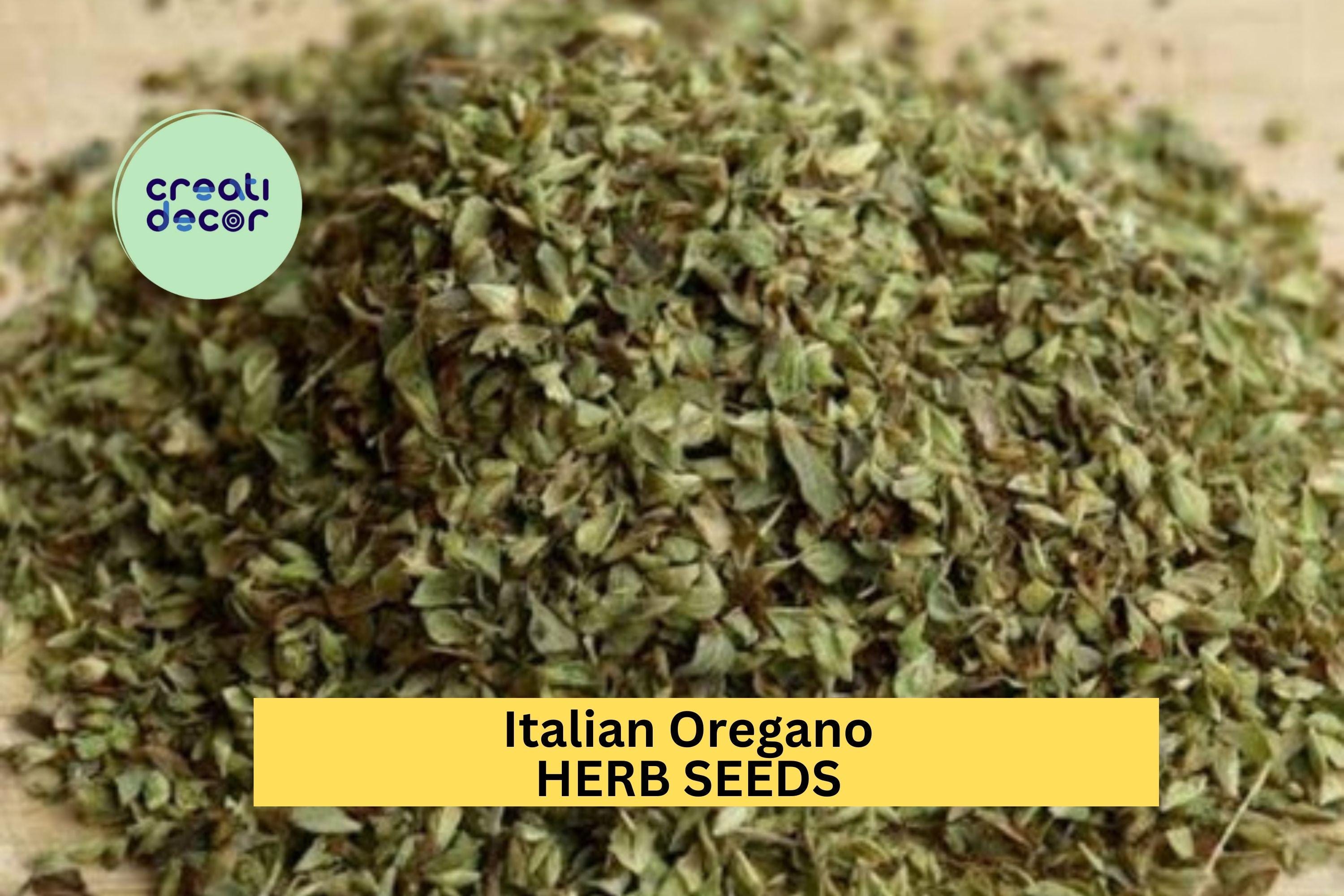 3pcs of 100mg Italian Oregano Seeds – Classic Culinary Herb for Pizza, Pasta, and Mediterranean Garden Planting