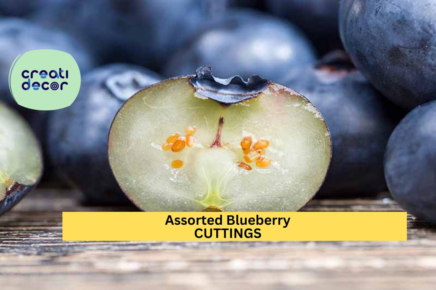 5 Blueberry Cuttings Assorted | Unrooted Organic Scions | Vaccinium Variety Mix for Propagation | Fresh Fruit Plant Starter