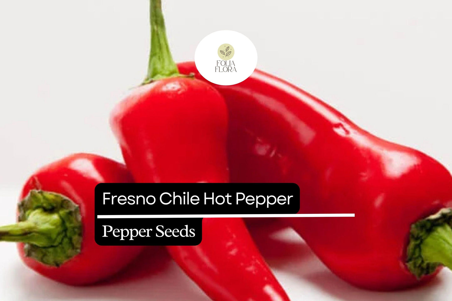 25 Fresno Pepper Seeds – Heirloom, Spicy & Flavorful, Non-GMO, High Yield, Easy to Grow