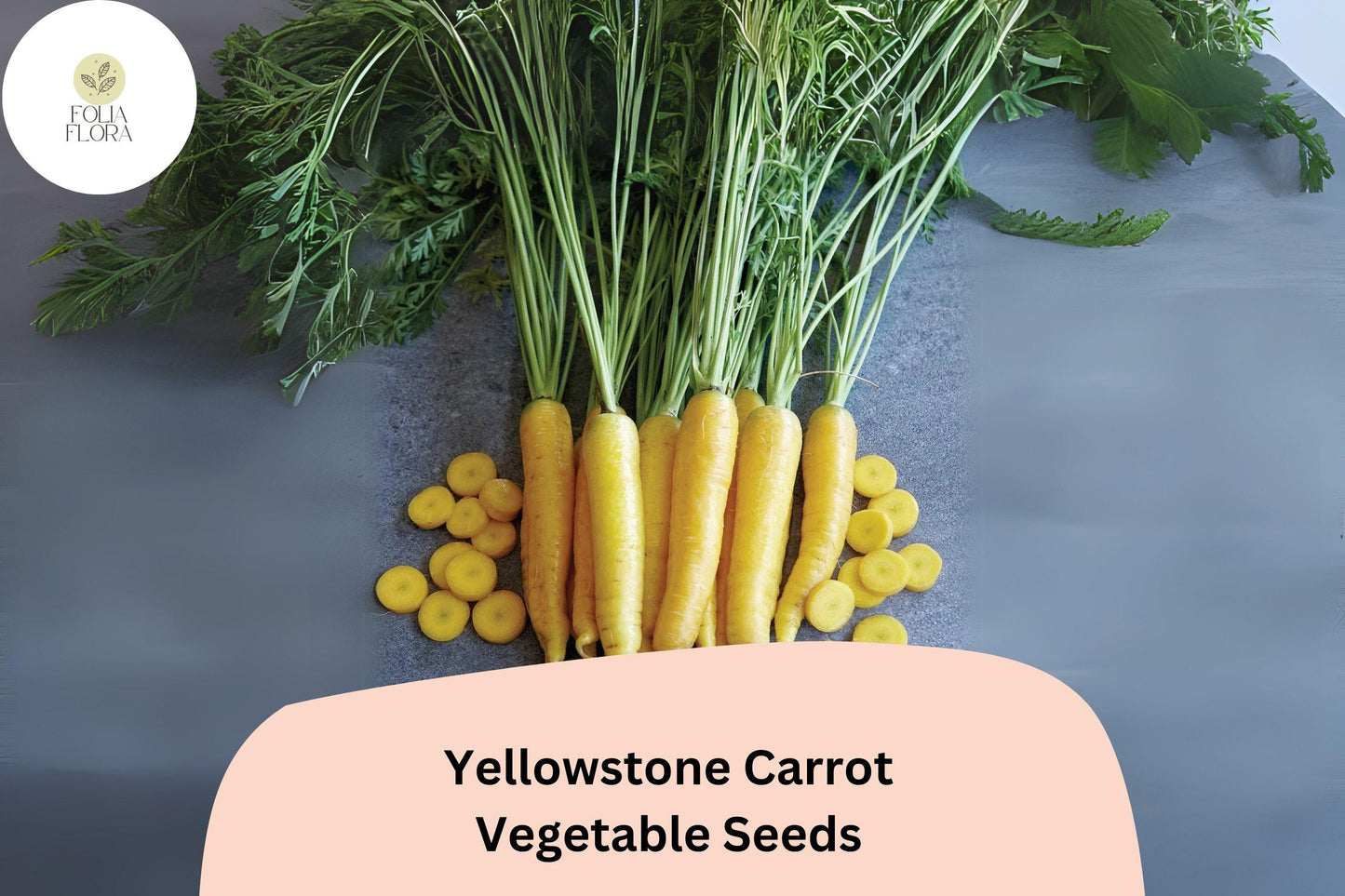 1000+ Yellowstone Carrot Seeds – Heirloom, Sweet & Tender Yellow Carrots