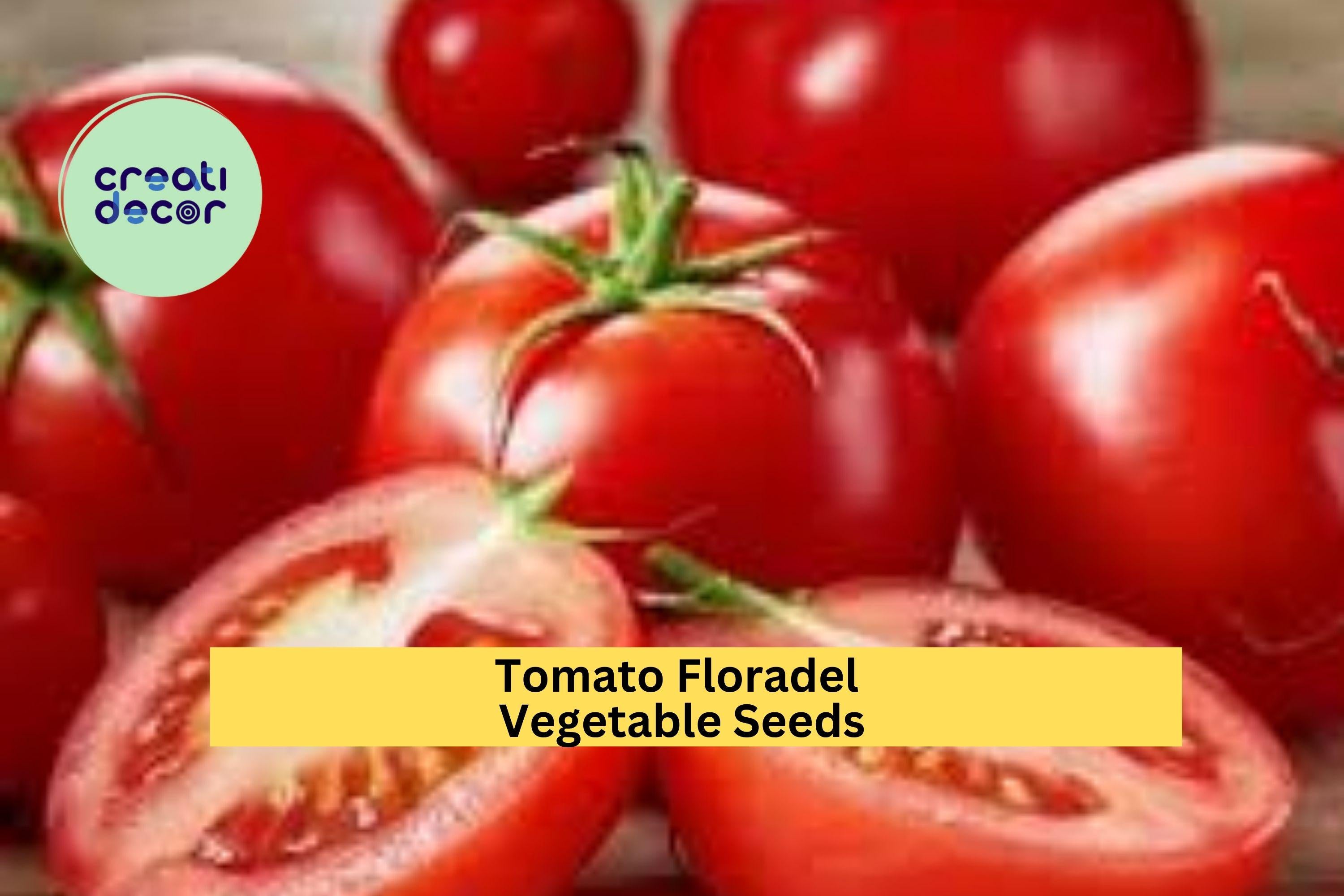3pcs of 100mg Floradel Tomato Seeds – Large, Crack-Resistant Tomatoes for Juicy Slices, Salads & Home Gardening Seeds for Planting
