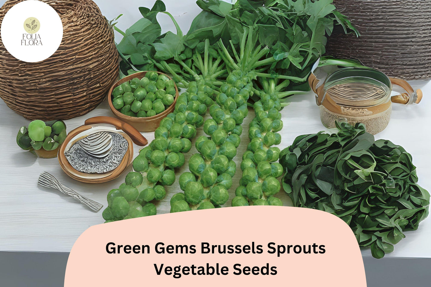 500+ Green Gems Brussels Sprouts Seeds | Brassica oleracea | Hybrid Sprout Variety | Bulk Garden Vegetable Seeds