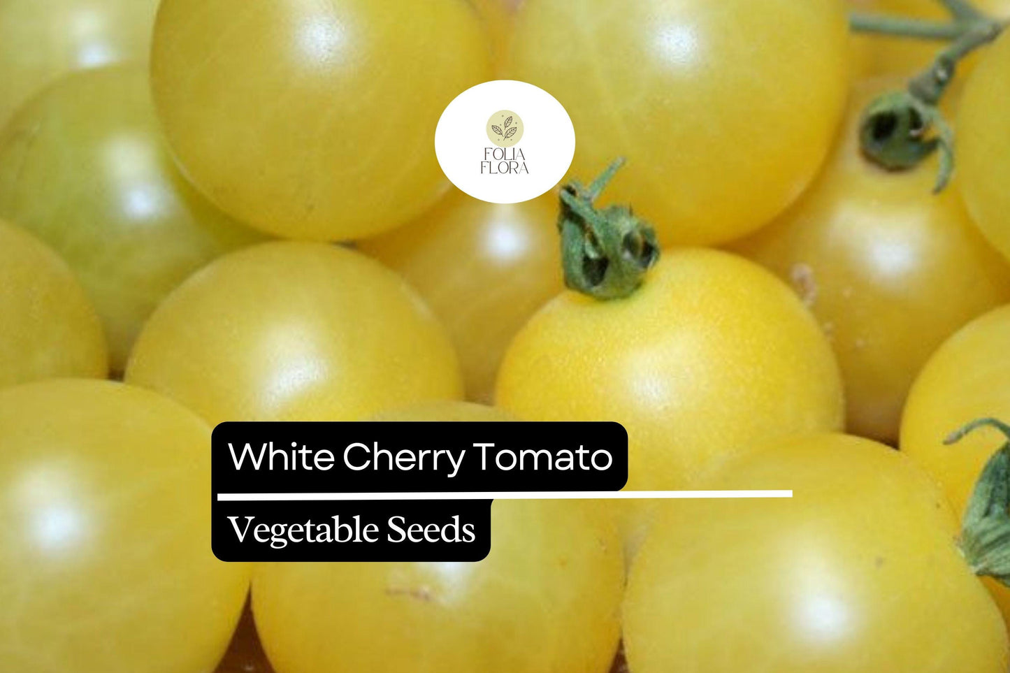 White Cherry Tomato Seeds | 15 Seeds | Rare Heirloom Solanum Lycopersicum for Home Garden Vegetable Growing