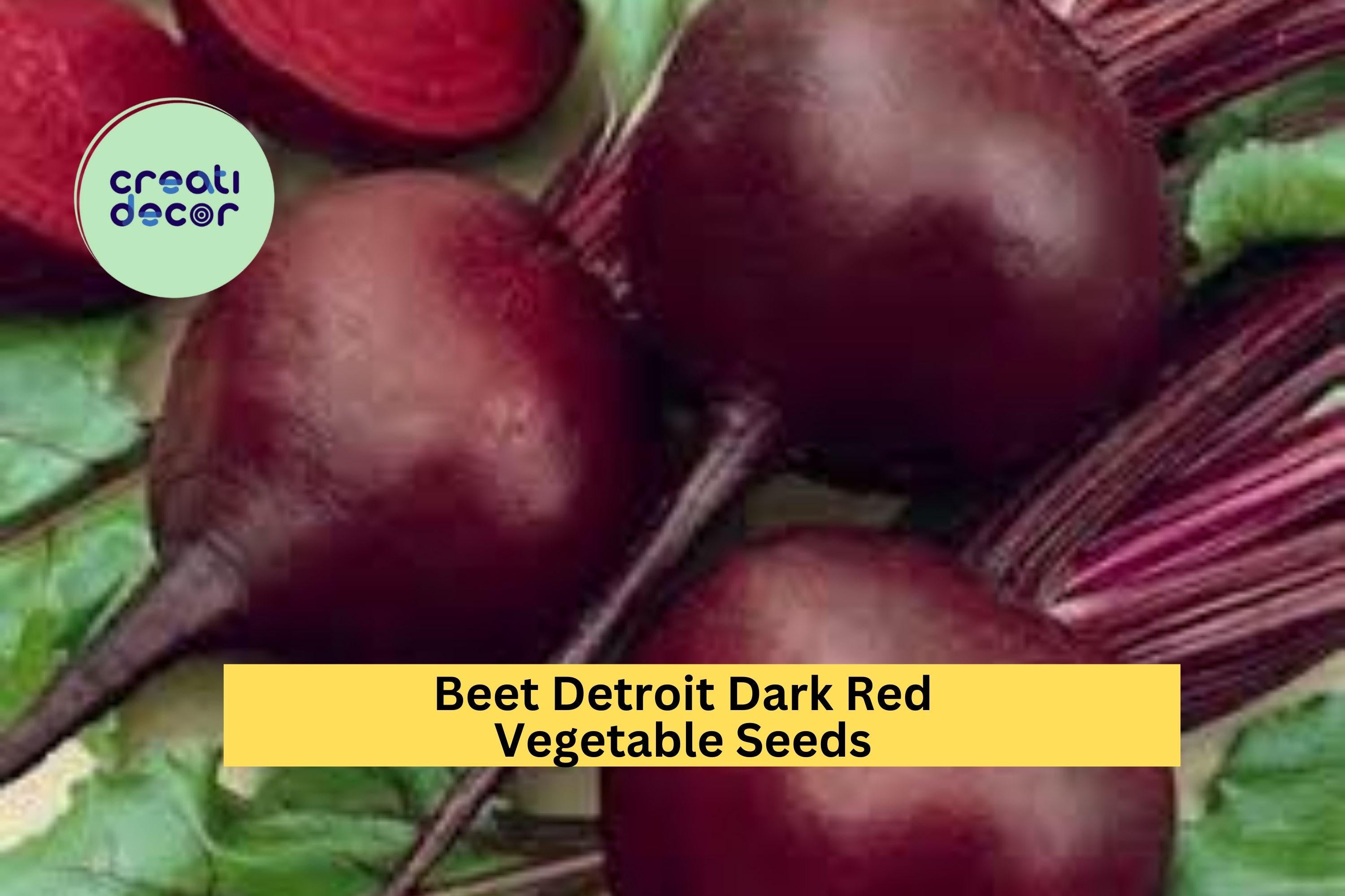 3pcs x 1g Beet Detroit Dark Red Seeds – Heirloom Beets for Garden Beds, Raised Rows, or Container Growing Seeds for Planting