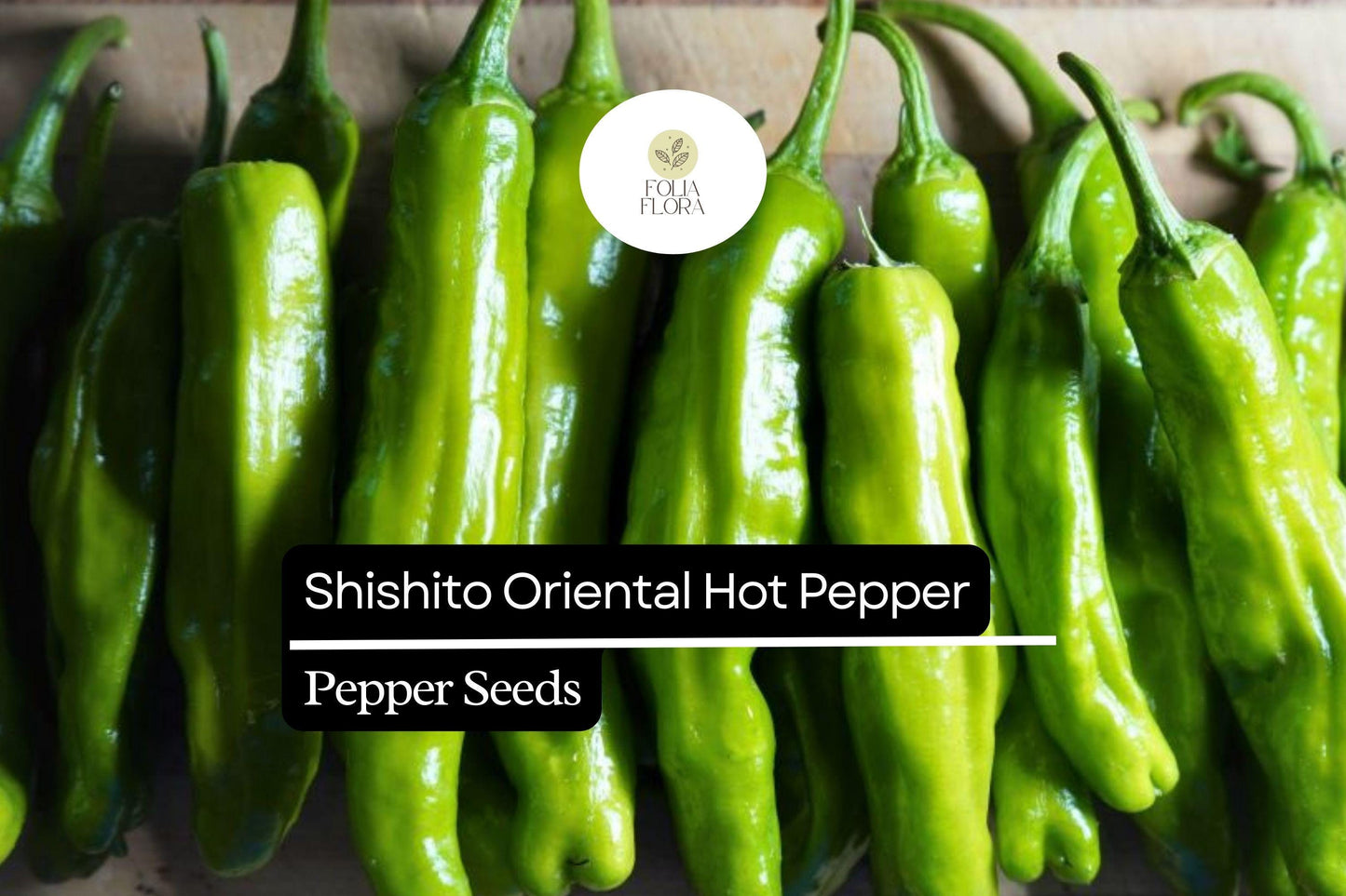 10 Seeds Shishito Pepper, Mild Japanese Pepper, Perfect for Grilling and Sautéing