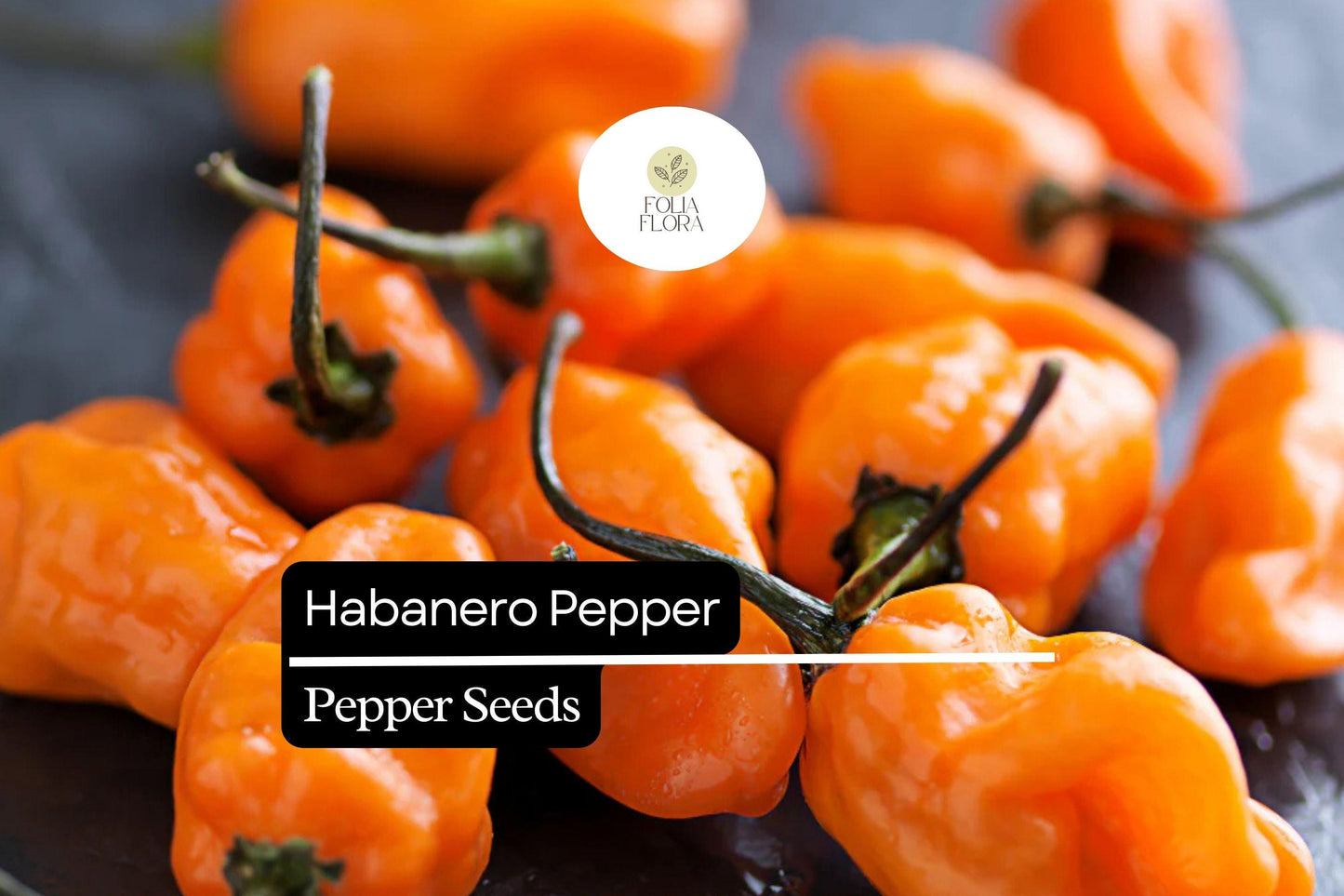 25 Habanero Pepper Seeds – Capsicum chinense – Extra-Hot Chili, Heirloom Variety, Non-GMO, 100,000–350,000 Scoville