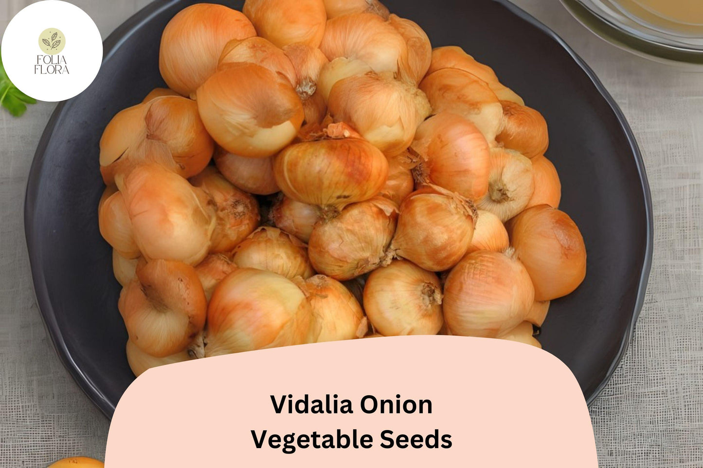 500+ Vidalia Onion Seeds | Sweet Onion Variety | Garden Planting | Large Bulbs | Mild Flavor & Cooking