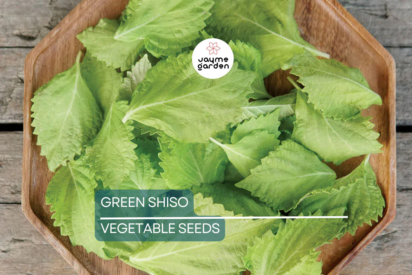 500 Green Shiso Seeds Non-GMO – Perilla Frutescens, Culinary Herb, Flavorful Leaves, Edible Flowers, USA Seller!