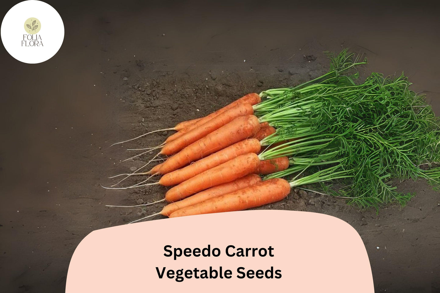 1000+ Speedo Carrot Seeds – Fast-Growing, Sweet & Tender Variety