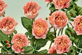 Julieta Rose Live Plant – Repeat Blooming Own Root Cut Rose