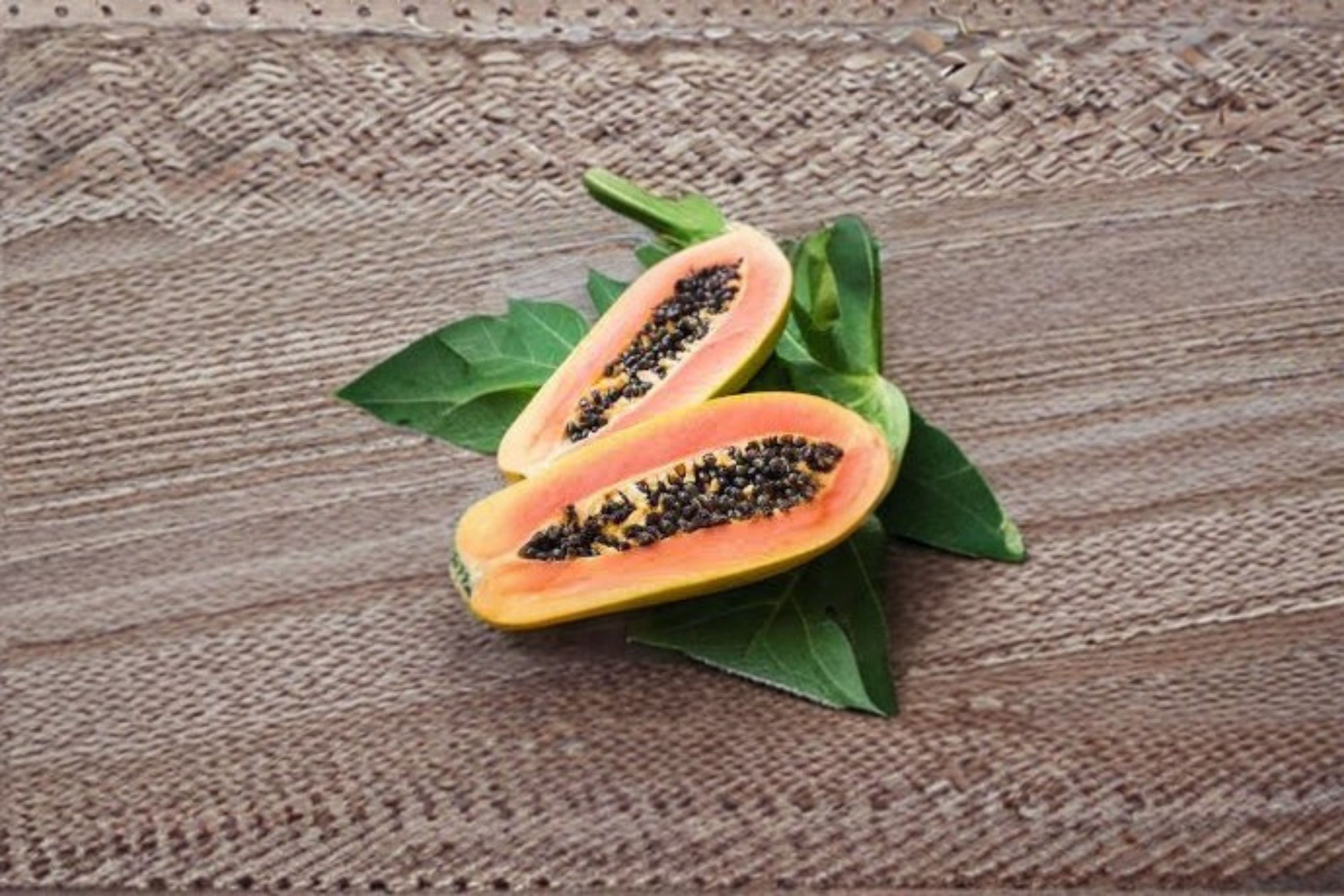 Red Lady Papaya Live Plant – High Yield Tropical Fruit Tree