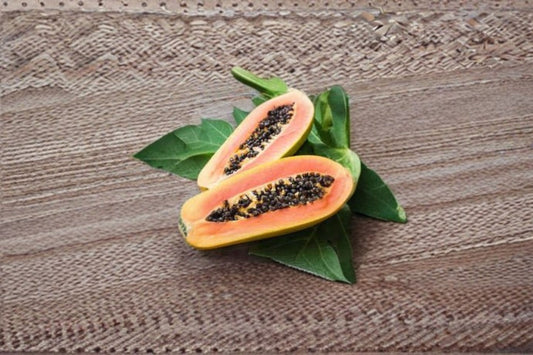 Red Lady Papaya Live Plant – High Yield Tropical Fruit Tree