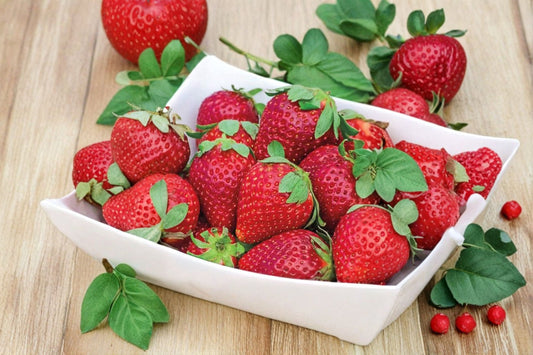 Earliglow June-Bearing Strawberry 6 Live Starter Plants – Fragaria × ananassa