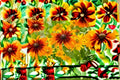 Rudbeckia Sahara 1 Plant – Rudbeckia hirta