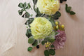 Jutta Rose Live Plant – Dutch Own Root Cut Rose