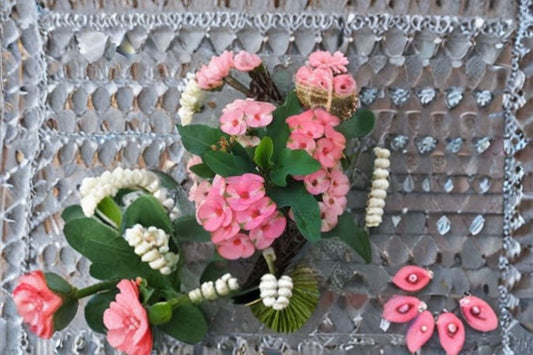 Rainbow Crown of Thorns 1 Cutting – Euphorbia milii