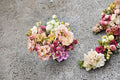 Lisianthus Voyage 1 Plant – Eustoma grandiflorum