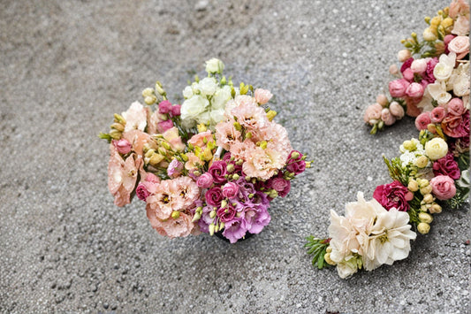 Lisianthus Voyage 1 Plant – Eustoma grandiflorum