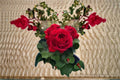 Francois Rose Live Plant – Blood Red Double Garden Rose