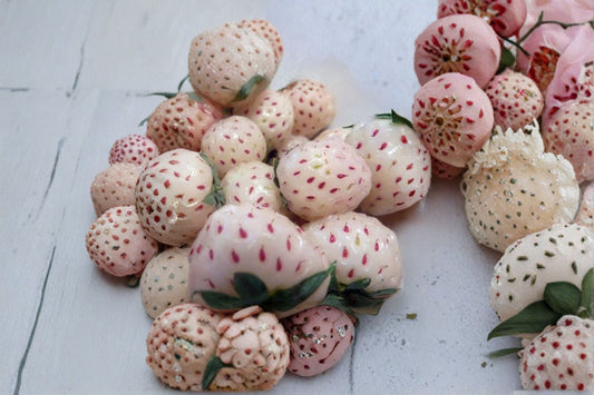 Carolina Pineberry 1 Live Plant – 2.5" Pot – White Strawberry – Fragaria × ananassa