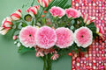 Ausimmon Rose Own Root Live Plant – Blush Pink Double Shrub Rose
