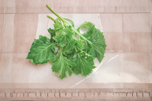 Mizuna Seeds Brassica Rapa Japanese Mustard Greens Leafy Vegetable Garden Plant Asian Greens Fast Growing 150 Seeds