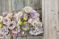 Lisianthus Chateau Blue 1 Plant – Eustoma grandiflorum