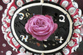Villa Muze Rose Live Plant – Elegant Cut Rose Variety
