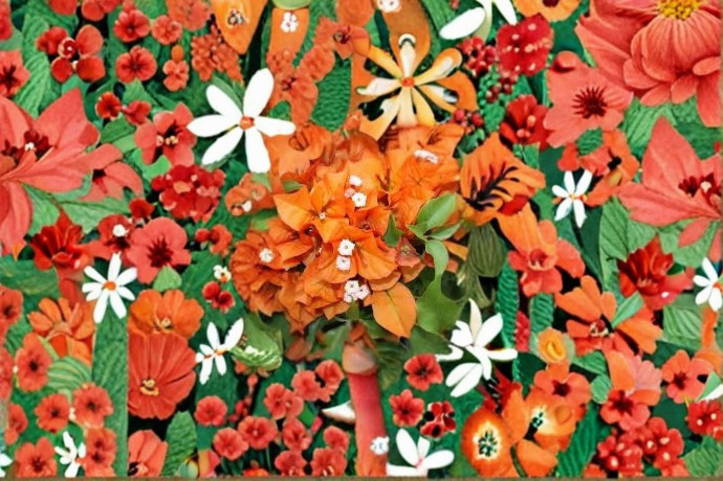 3 Fire Opal Bougainvillea Live Plants – 4–6" Tall – Rooted in Soil – No Pot – Bougainvillea 'Fire Opal'