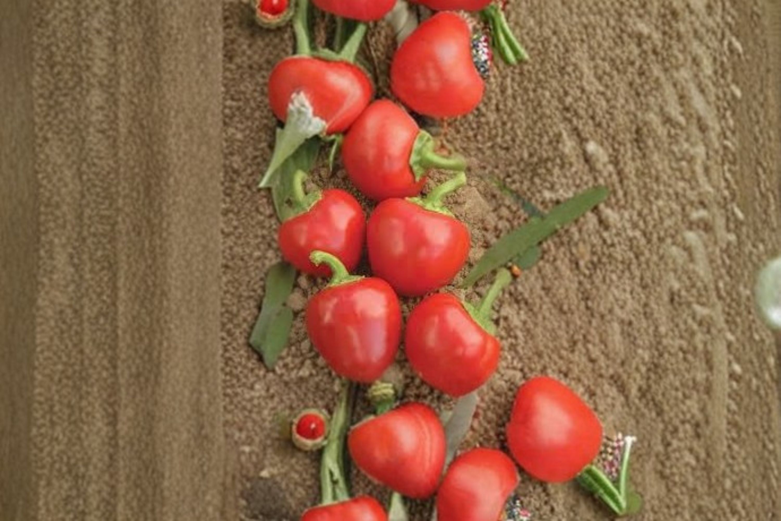 Large Red Cherry Pepper Seeds Capsicum annuum Hot Pepper Seeds Round Chili Vegetable Garden Planting 25 Seeds