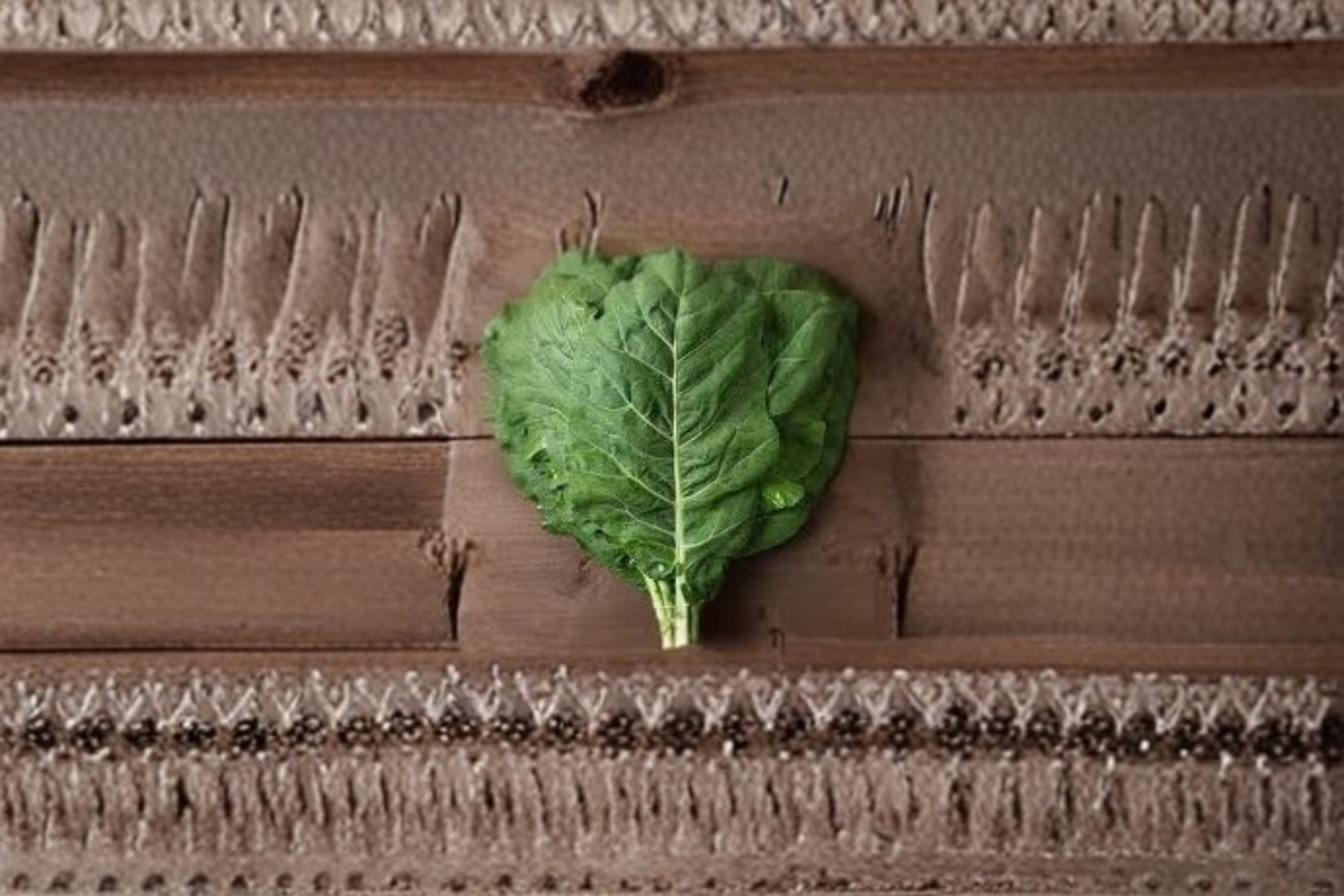 Champion Collards Seeds Brassica oleracea Collard Greens Vegetable Seeds Garden Planting 250 Seeds
