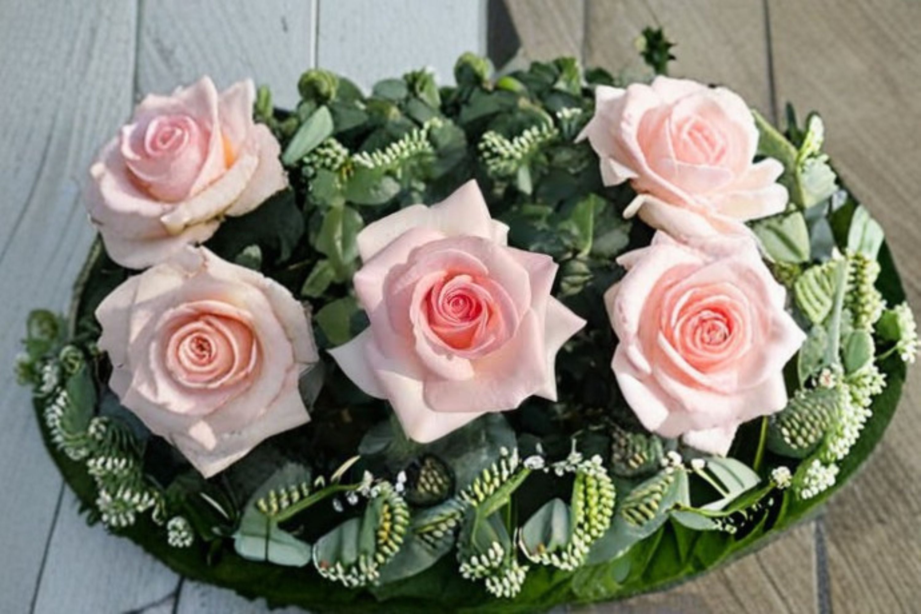 Prince Jardinier Rose Live Plant – Large Bloom Garden Rose